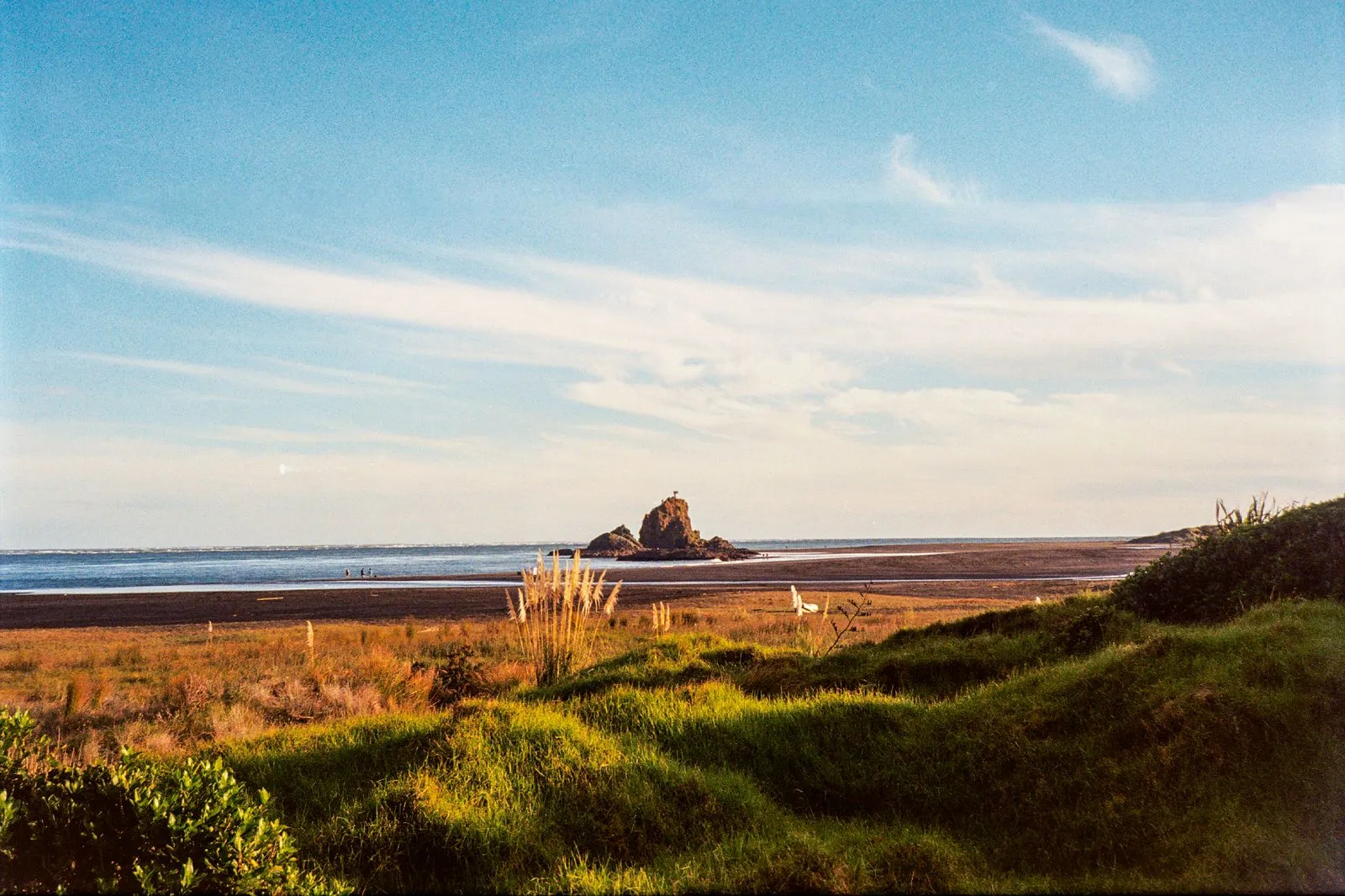 Planning Outdoor Days Around Auckland